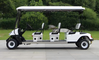 Carrito de Golf Personalizado de 6 Plazas, 300CC, 4 Tiempos, a Gasolina, para Uso Familiar y Comunitario