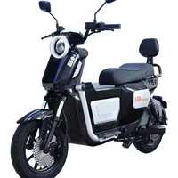 Scooter électrique, moto 500W/1000W, 60 km/h, moteur à moyeu arrière haute vitesse, 3 vitesses, cadre en acier, roue de 14 pouces, batterie au plomb-acide 20AH