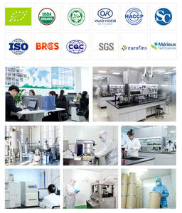 Poudre de <span class=keywords><strong>Matcha</strong></span> de source verte de qualité cérémonielle Poudre de thé <span class=keywords><strong>Matcha</strong></span> en vrac - Product Image 6