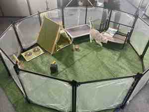 Parc pour chien en acrylique amovible Clôture pour chien 12 panneaux Portable pliable Parc pour animaux de compagnie Carton Logo personnalisé Mode Bouton respirant - Product Image 4