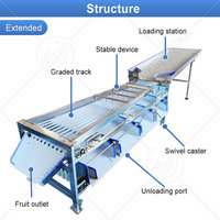 Automatische fruit sorteermachine voor appels, peren, kleine kiwi's, citrusvruchten, avocado's en aardappelen.