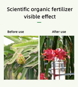 Kalsium <span class=keywords><strong>Magnesium</strong></span> cair kemurnian tinggi suplemen kalsium Pitaya kalsium untuk tanah mendorong fotografis - Product Image 5