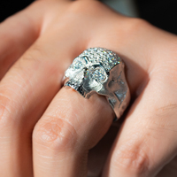 Bague Crâne en Argent Sterling S925 pour Hommes, Style Hip Hop, Personnalisée, Sertie de Moissanite, Tête de Mort en Os