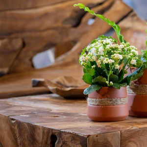 Macetas de Barro Terracota Talladas a Mano, Estilo Rústico Vintage, para Hierbas, Suculentas y Plantas Decorativas de Interior y Exterior - Product Image 4