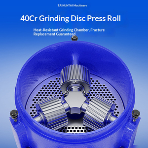 Nouvelle Offre Limitée : Machine à Granulés d'Aliments pour Animaux, Granulation Rapide, Capacité 300 kg/h, Construction en Fonte pour Aliments du Bétail et Aquatiques - Product Image 4