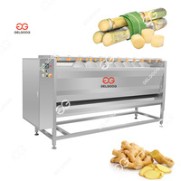 Multi Functionele Luchtbel Automatische Kleine Vis Schelpdieren Reinigingsmachine Oester Wasmachine Oester Wasmachine