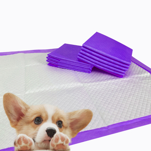 Best Seller 2025 Tappetini Igienici Addestramento per Cani e Cuccioli con Profumazione - Product Image 2