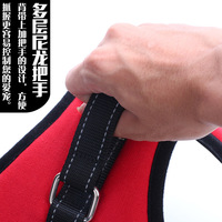 Ensemble Harnais et Laisse pour Chien, Conception Anti-Traction, Harnais pour Animaux de Compagnie en Tissu Oxford, Vente en Gros