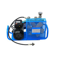 Compresseur d'air 300 bar 100L Mini équipement de plongée Compresseur de pompe à air haute pression