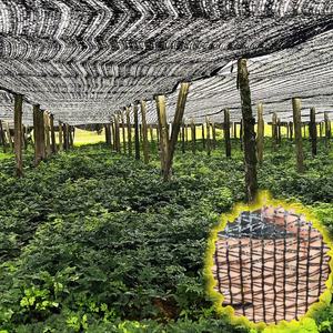 ブラックカラーHDPE材料シャドーネット農業ガーデンサンシェード布生地温室用 - Product Image 1