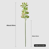 Dekorasi Rumah Bunga Phalaenopsis Buatan Tangan Realistis Hijau 8 Kepala Kelopak Lembut Berbahan Film Cetak 3D Bunga Buatan Grosir