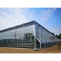 Grande serre en verre personnalisée pour l'agriculture en plein air avec système hydroponique pour une culture efficace des légumes