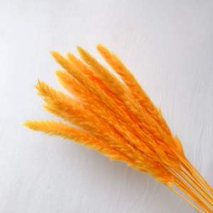 Offre Spéciale Bureau Accueil Parti Festival De Luxe Espace Naturel de Fleurs Séchées Décoration Petit Pampas Herbe - Product Image 1