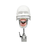 Simulateur de formation dentaire, tête de mannequin fantôme avec modèle de dents, consommables dentaires pour la pratique