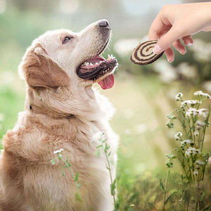 Aperitivos OEM para perros, carne con logotipo personalizado, carne seca para perros, bacalao, sushi, golosinas para perros, aperitivos para mascotas - Product Image 4