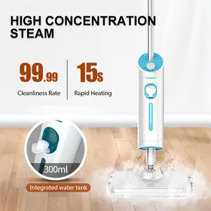 Multifunctional Handheld Steam Cleaner Sterilized Anti-Dry Removable Steam Mop