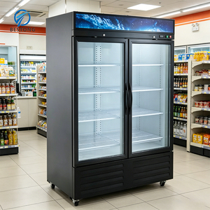 Congelador vertical comercial con puerta doble <span class=keywords><strong>de</strong></span> vidrio para refrigeración <span class=keywords><strong>de</strong></span> gran capacidad para comercios y restaurantes - Product Image 4