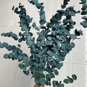 Style nordique feuille douce <span class=keywords><strong>guirlande</strong></span> d'<span class=keywords><strong>eucalyptus</strong></span> tiges fleurs séchées plantes préservées multi fourchette pour la décoration intérieure célébration de noël - Product Image 1
