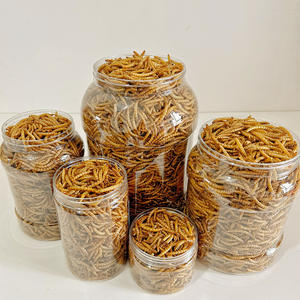 Cacing Mealworm kuning kering cacing Mealworm tinggi Protein kering untuk burung ikan makanan hewan peliharaan serangga dapat dimakan ulat salju kering - Product Image 1