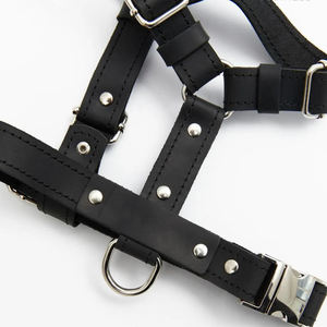 Pakaian luar anjing kulit, baju anak anjing kecil, rompi hewan peliharaan lucu dapat disesuaikan - Product Image 4