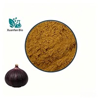 Poudre d'extrait d'ail noir 10:1, multi-spécifications, naturellement fermenté, qualité alimentaire, matière première cosmétique, durée de conservation de 24 mois