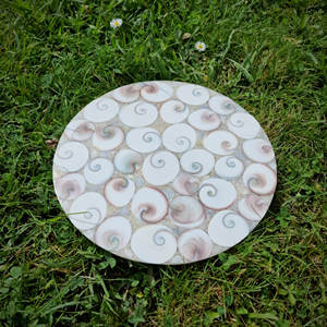 Nouveautés très vendues, coquillages fossiles sculptés, cristaux de guérison, pierres rondes, coquille fossile en forme de plaque à vendre - Product Image 3