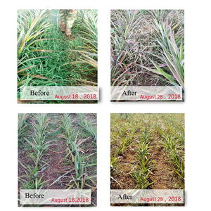 Pyroxasulfone 85% WDG erbicida selettivo pre-emergente per grano, mais, soia - Product Image 5