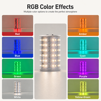 Ampoule LED RGB rechargeable avec base magnétique Type-C E27, télécommande tactile, 6000 mAh, pour lampe murale, lumière d'ambiance