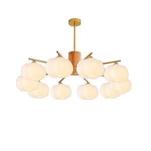 Chengyu Lighting Chandelier Modern Minimalist Gold Iron Body Led Light Home Living Room Bedroom Ceiling Lamp Adjustable Height - Product Image 5