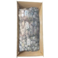 Source de lumière ponctuelle programmable en extérieur 30MM 50MM, couverture laiteuse, 12V 24V, pixel LED RGB, boule