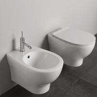 WC suspendu en céramique vitrifiée avec bidet intégré, finition naturelle mate, pour salle de bain et cuisine