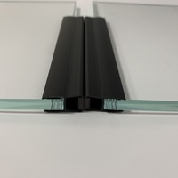 Zwart Pvc Glas Douche Deur Magnetische Afdichting Strip