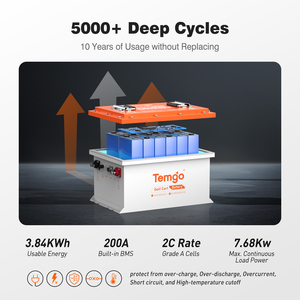 51.2V 100Ah 高尔夫球车锂电池 SPCC 外壳 36V 48V 100Ah LiFePO4 5 年保修 房车露营车电池 高尔夫球车电池 - Product Image 4