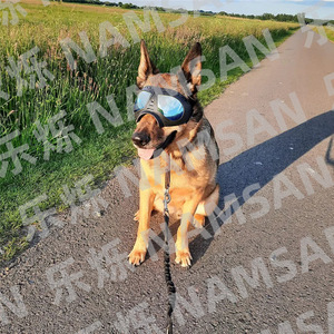 Gafas para mascotas, impermeables, de plástico, estilo deportivo, para perros, accesorios para gafas de sol para todas las estaciones - Product Image 2