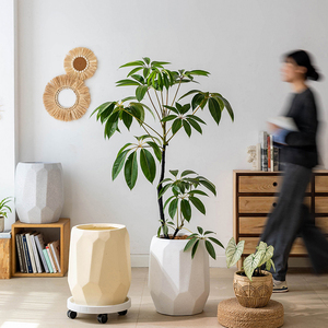 Pot de fleurs moderne <span class=keywords><strong>en</strong></span> argile de magnésie, léger, <span class=keywords><strong>en</strong></span> béton, grand, rond, pour extérieur, intérieur, balcon, jardin, décoration, fabrication OEM/ODM - Product Image 6