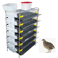 Systèmes d'élevage d'oiseaux modernes de type H à plusieurs niveaux avec solutions d'alimentation efficaces, construction en acier galvanisé, faciles à assembler
