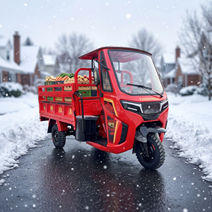 Tricycle KungFu <span class=keywords><strong>Tiger</strong></span>-Rui / Vente Flash / Tricycle à Trois Roues / <span class=keywords><strong>200cc</strong></span> / Tricycle à 3 Roues Droites / <span class=keywords><strong>Moto</strong></span> Tricycle / Alimentation à Essence / NOUVEAU 2026 - Product Image 1