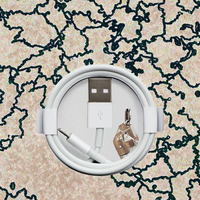 Meilleur prix 3.3ft/1m Charge rapide USB câble de données de charge rapide pour iPhone chargeur 2A de haute qualité