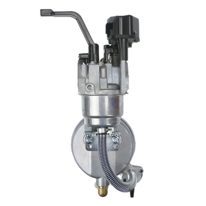 Générateur à double carburant personnalisable en gros 2KW 2.5KW 3KW 5KW 168F SPD GX160 GX200 sans électrovanne carburateur - Product Image 5