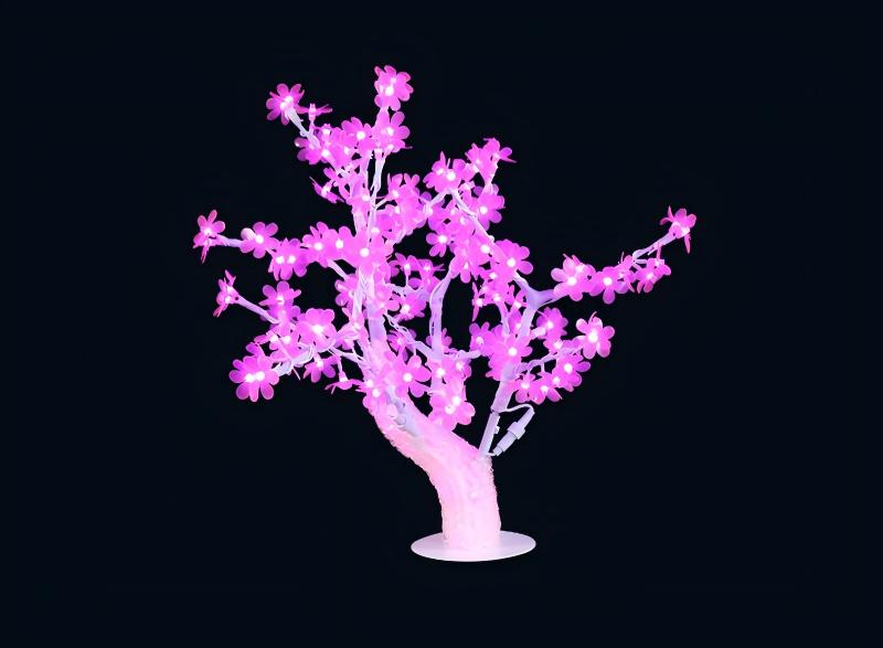 rosa 1