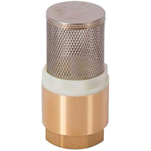 Válvula de pie de 2 pulgadas con filtro para aplicaciones de herramientas de torneado - Product Image 4