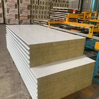 Panneaux de toiture sandwich en laine de roche légers - Ignifuges, insonorisants, isolants thermiques, écologiques pour les chambres froides et l'hôtellerie