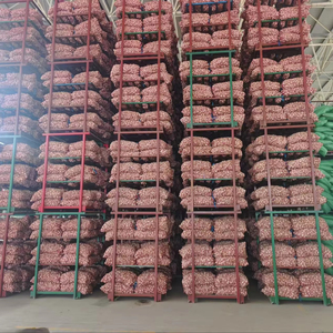 <span class=keywords><strong>Ail</strong></span> blanc normal frais chinois de bonne qualité pour l'Europe Légumes en gros à bas prix Fresque populaire Alho au Brésil - Product Image 2