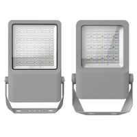 150W Anti-Corrosion LED Projecteur pour Éclairage Extérieur IP65 Étanche Vibration 3G/5G Technologie Cob Puce pour Application Route