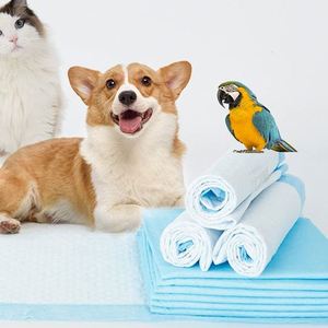 Meilleures ventes 2024 : Tapis absorbants jetables pour chiots, directement de l'usine chinoise, produits pour chiens à prix avantageux, innovation, meilleure vente - Product Image 6