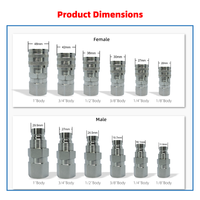 Coupleur rapide hydraulique à face plate série FF ISO 16028, ensemble mâle-femelle, options de filetage SAE NPT BSP métrique pour lignes de puissance fluide
