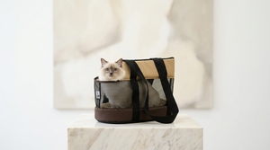 Sıcak Satış Özel Tasarım Açık Hava Seyahat Yürüyüşü Taşınabilir Ayrılabilir Katlanabilir Taşıma Çantası Ön Bisiklet Sepeti Köpek Yavrusu Kedi Köpek için Evcil Hayvan Çantası - Product Image 3