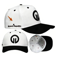Gorra de Béisbol con Logotipo Personalizado, Bordado 3D, Tela de Espiga, Impresión en Relieve, Diseño Unisex
