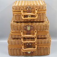 Organisateur de cosmétiques moderne en PE, style valise portable, coffre de rangement tressé à la main haut de gamme, capacité 35L+, idéal pour cadeaux et souvenirs