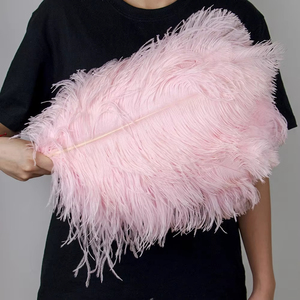 <span class=keywords><strong>Plumas</strong></span> <span class=keywords><strong>de</strong></span> avestruz grandes largas naturales <span class=keywords><strong>de</strong></span> 60-65cm al por mayor para boda, fiesta, comedor, mesa, centro, jarrón, decoración, lámpara <span class=keywords><strong>de</strong></span> casa, pluma - Product Image 6